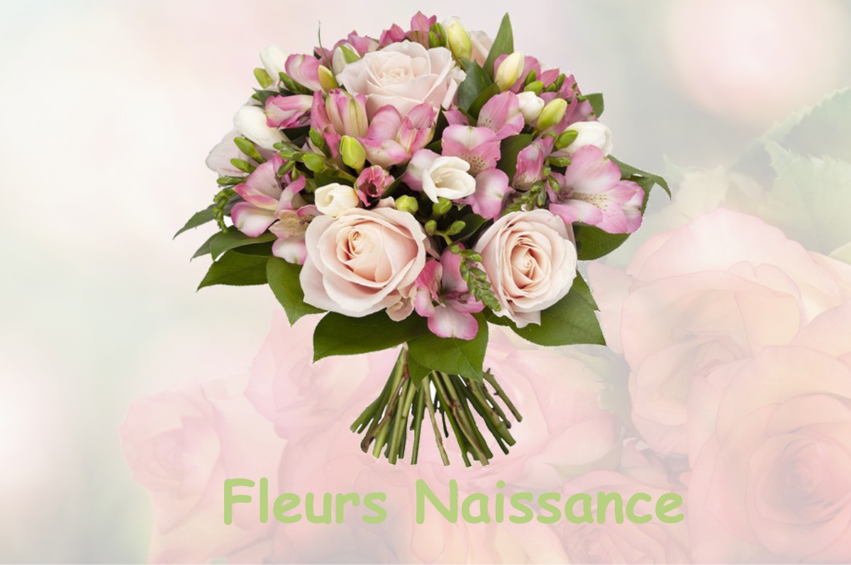 fleurs naissance SAINT-AUSTREMOINE